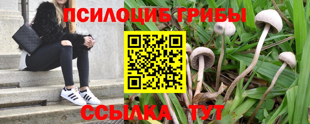 Галлюциногенные грибы мухоморы  Вход с VPN  купить  цена  Гусиноозёрск 